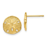 14k Gold Polished & Textured Sand Dollar Post Earrings