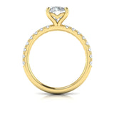 Delicate Classic Engagement Ring